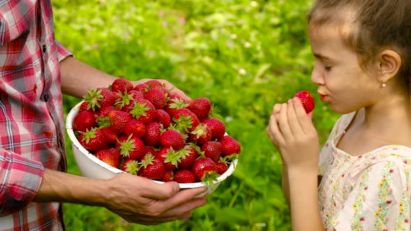 Child and Father with Strawberries in the Garden alt