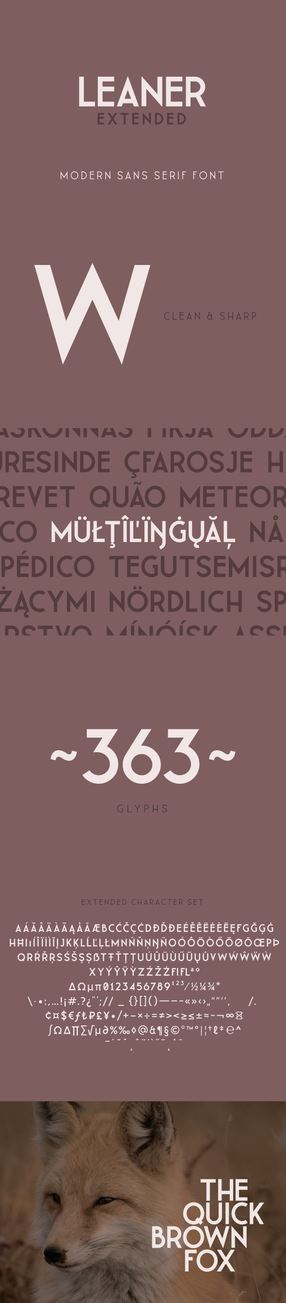 LEANER Extended -Bold - Sans-Serif Fonts