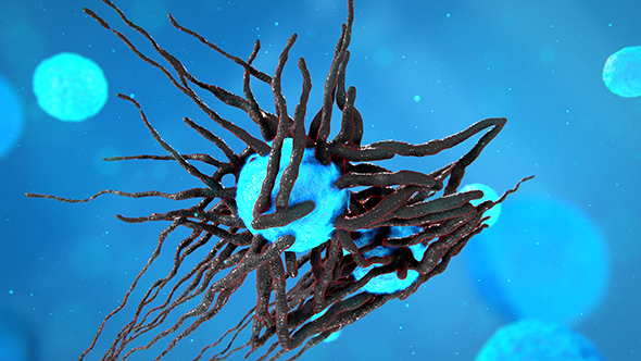 Symmetric Bio Growth Shot 02 alt