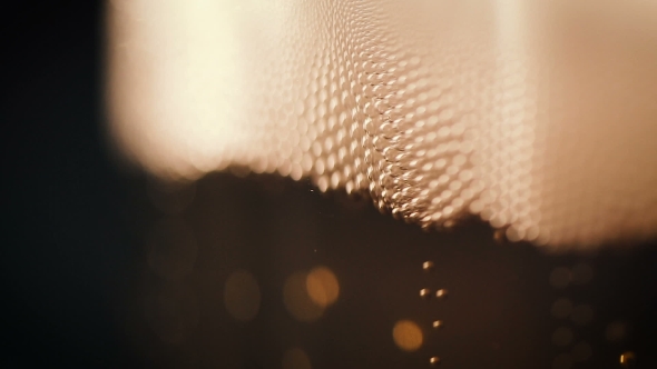 Bubbles Movement Inside a Large Glass Mug with Fresh Beer