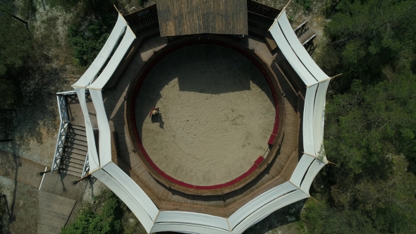 Rome Gladiator History