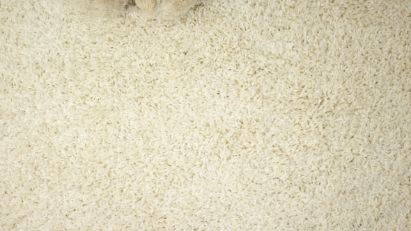 Slippers Are Moving Along the Carpet. Home alt