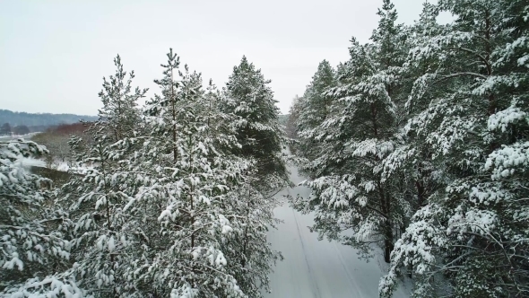 Aerial View of Winter Snowy Forest