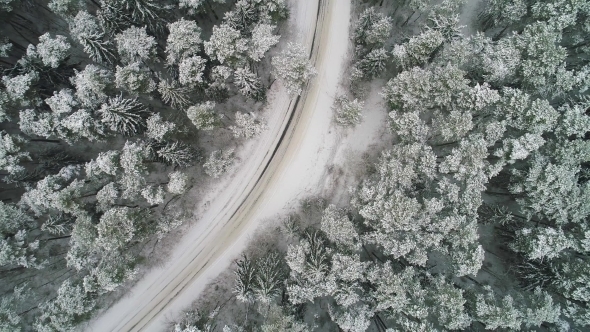 Aerial View of Winter Snowy Forest