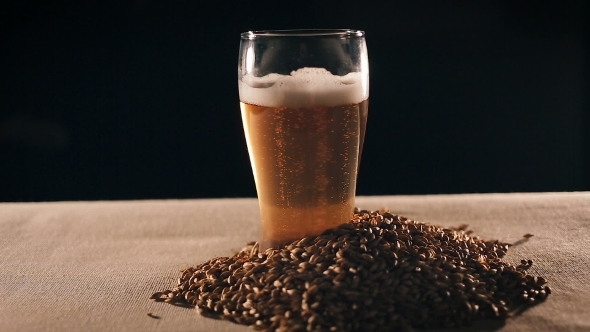 Softly Glowing Glass of Beer Surrounded By a Handful of Ripe Wheat.