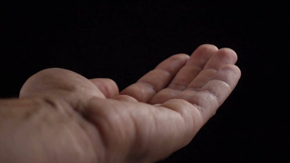 One Euro Coins Fall on the Palm alt