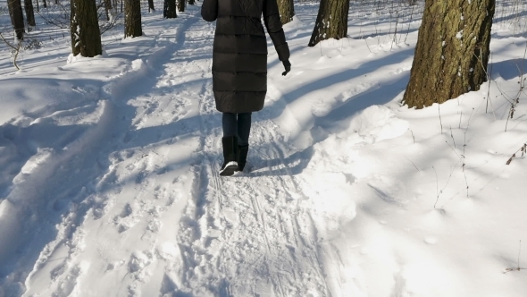 Woman in a Jacket and a Blue Hat and with a Scarf Goes Along the Alley