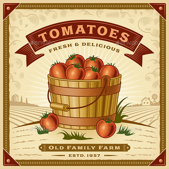Retro Tomato Harvest Label With Landscape - Food Objects