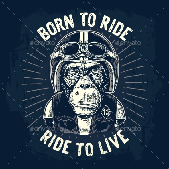 Monkey in the Motorcycle Helmet and Glasses - Animals Characters