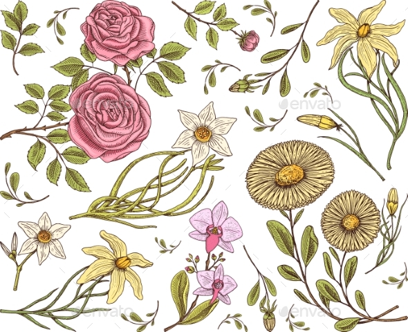 Seamless Pattern. Roses with Leaves and Buds - Flowers & Plants Nature