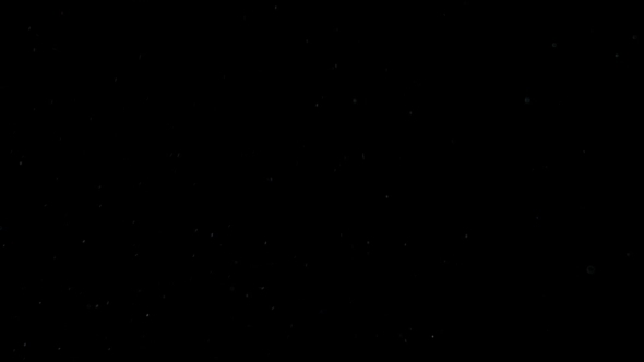 Black Night Snow alt