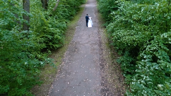 The Bride and Groom Walk Along the Alley