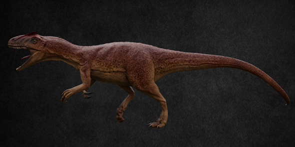 Allosaurus - 3Docean 21498972