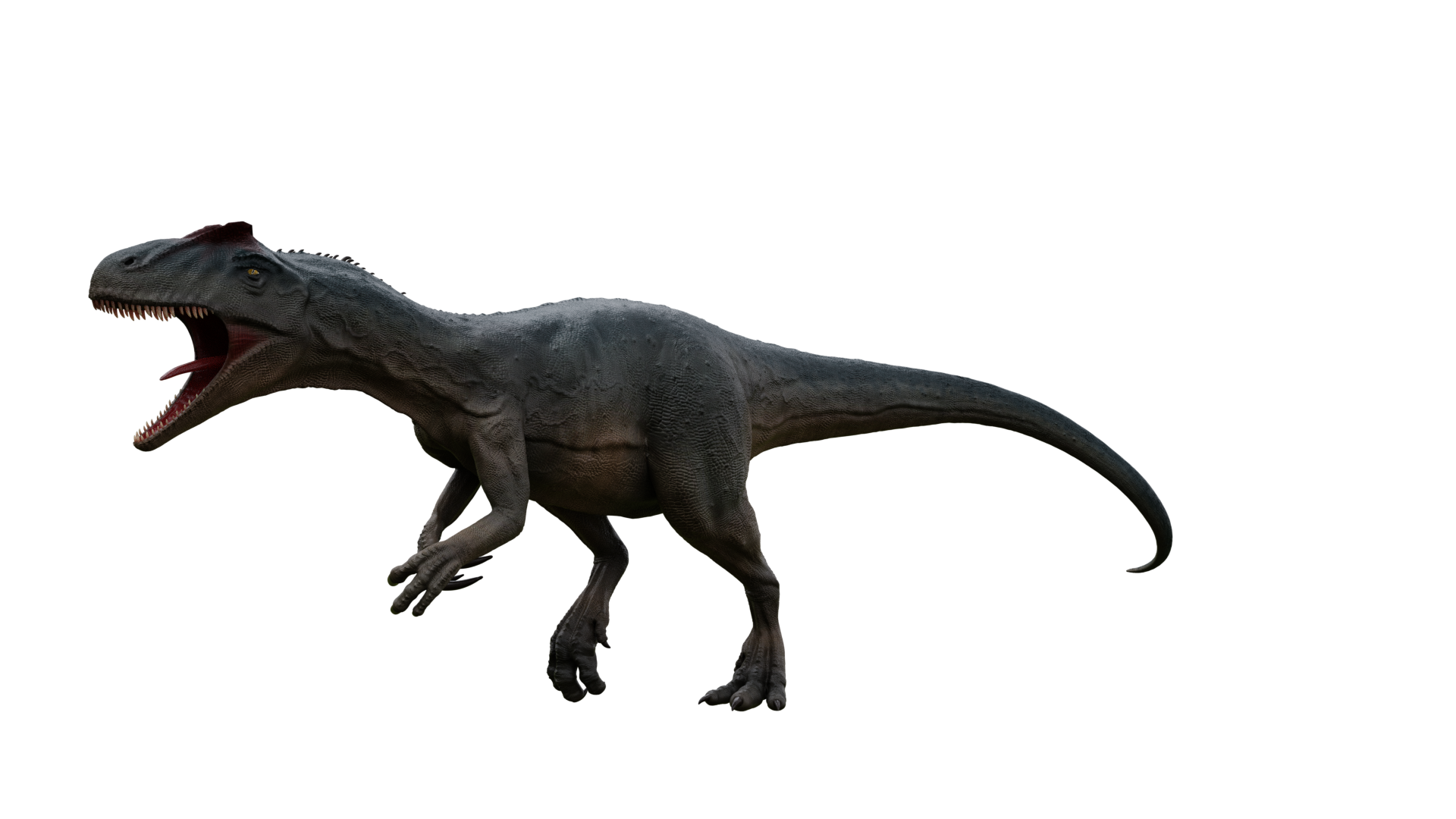 Allosaurus Png