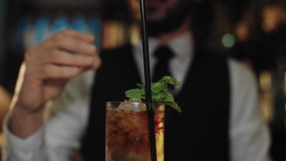 Professional Bartender Prepares Mojito Cocktail
