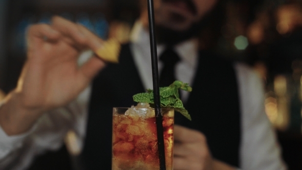 Professional Bartender Prepares Mojito Cocktail