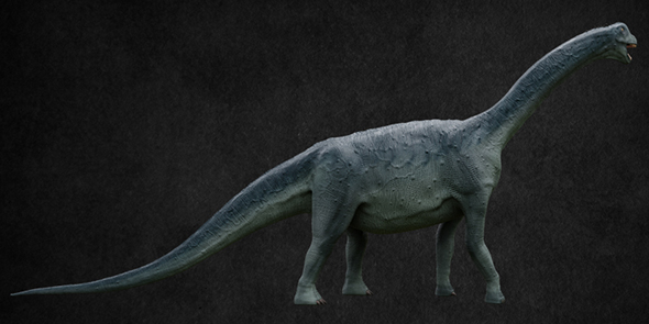 Camarasaurus - 3Docean 21499777