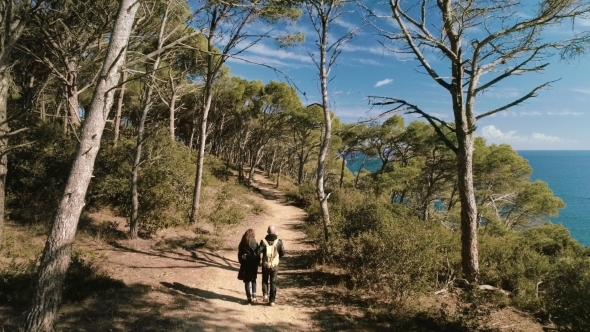 Aerial Inspiring Shot of Amazing Forest Trail Path alt