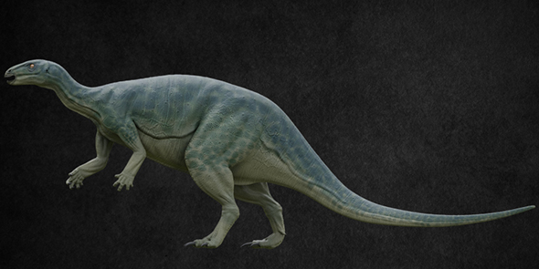 Camptosaurus - 3Docean 21499853