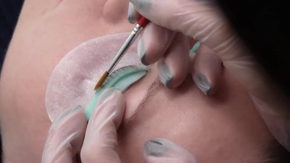 Process of Eyelash Care Procedure