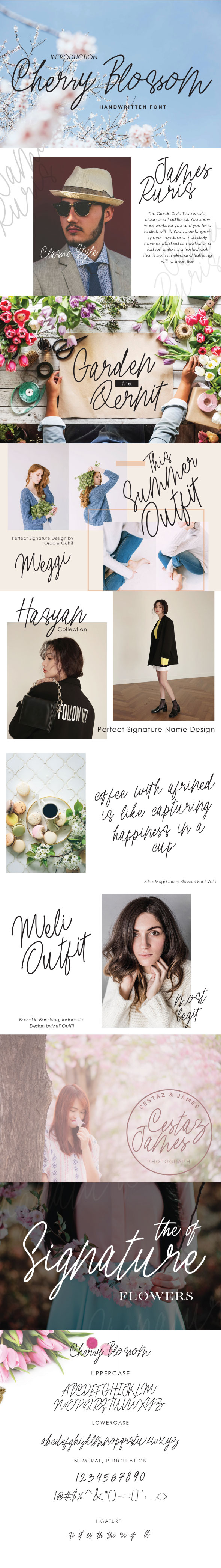 Cherry Blossom Font - Hand-writing Script