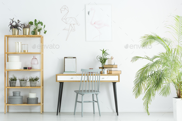 Home office with plants Stock Photo by bialasiewicz | PhotoDune