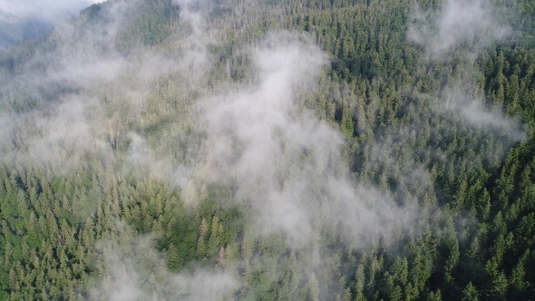 Flying Over the High Mountains with Pine Forest in Beautiful Clouds Aerial View