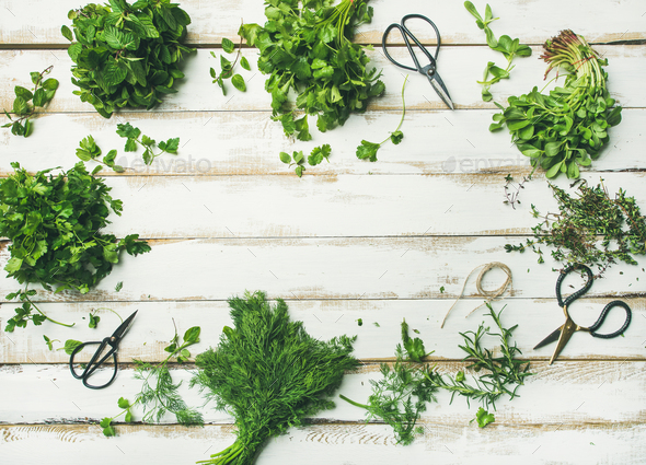 Various fresh green kitchen herbs over wooden background, copy space - Stock Photo - Images