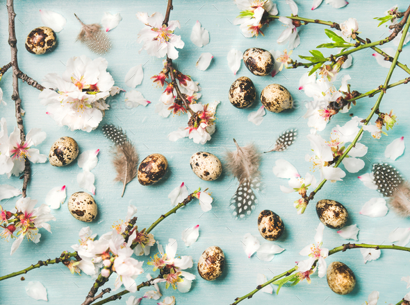 Easter background with eggs and Spring almond blossom flowers - Stock Photo - Images