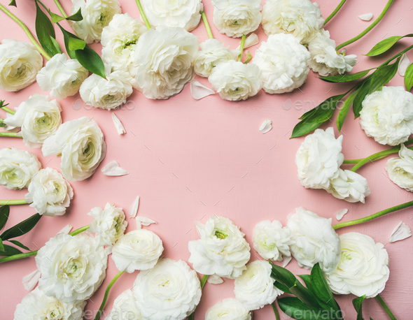 Saint Valentines Day frame or background with ranunculus, copy space - Stock Photo - Images