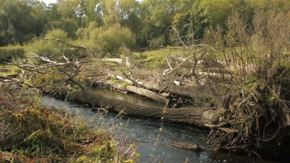 Inland River Delta River In The Floodplain Forest, Litovelske Pomoravi, Autumn Colors, Trees Fallen