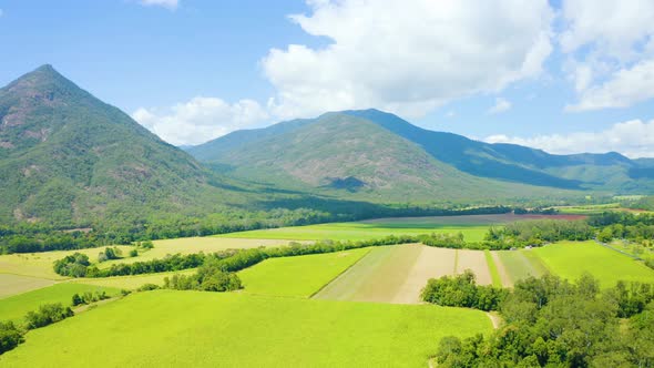 Aerial, Beautiful View On Sugar Cane Plantation In Tablelands In Queensland, Australia