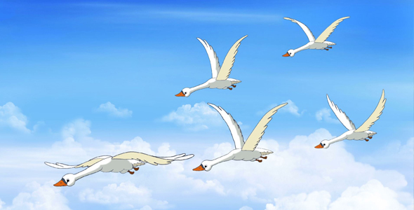 Flock of Swans Flies in the Sky, Motion Graphics | VideoHive