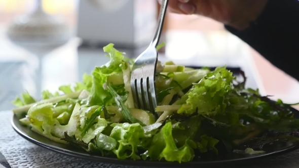 Fresh Green Salad Is on a Plate. A Hand with a Fork Pierces It