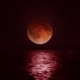 Bloody Moon Above the Ocean - VideoHive Item for Sale