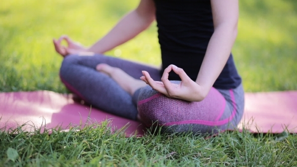 Girl with a Sports Figure Is Engaged in Yoga in Central Park