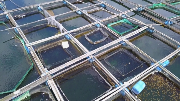 Fish Farm in Lake, Stock Footage | VideoHive