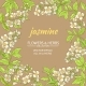 Jasmine Vector Frame