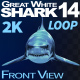Shark 14 Front View - VideoHive Item for Sale