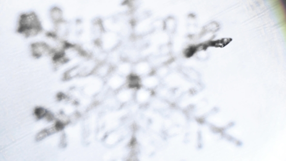 Snowflake Under a Microscope