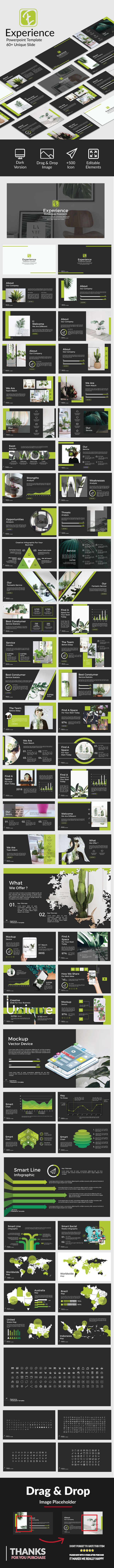 Experience Google Slide - Google Slides Presentation Templates