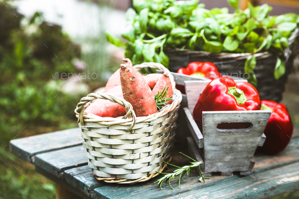 Vegetables Stock Photo by mythja | PhotoDune
