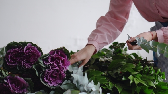 Professional Florist Arranges Flowers To Create a Bouquet