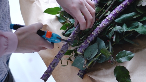 Florist Cuts Off Excess Big Branch of Exotic Flower with a Pruner