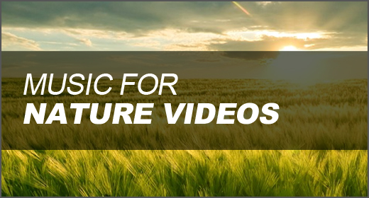 Music for Nature Videos