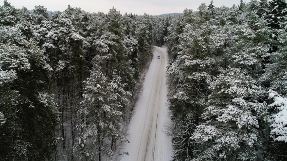 Car Moving in Winter Forest