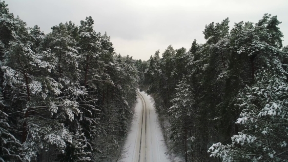 Car Moving in Winter Forest