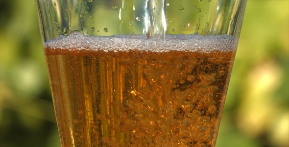 Beer and Hops Growing alt