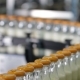 Packaging Bottles Line in the Milk Industry. - VideoHive Item for Sale