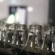Conveyor with Milk Bottles - VideoHive Item for Sale